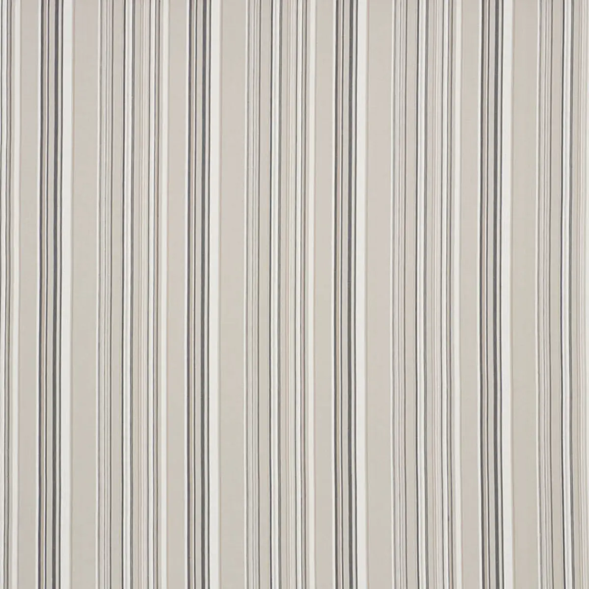 PONDEROSA STRIPE_ NATURAL