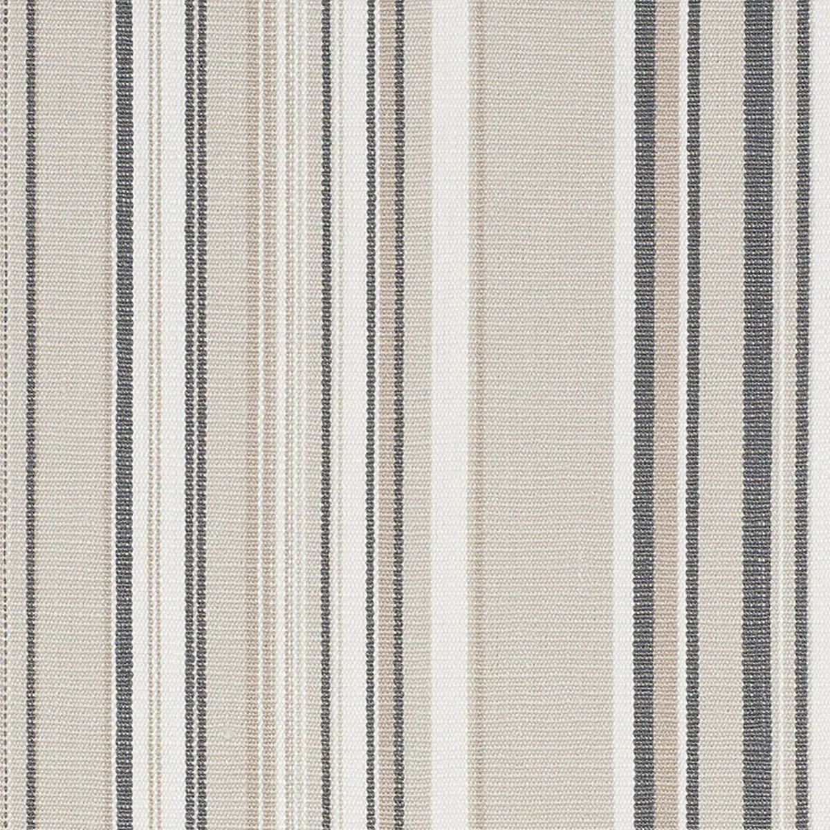 PONDEROSA STRIPE_ NATURAL