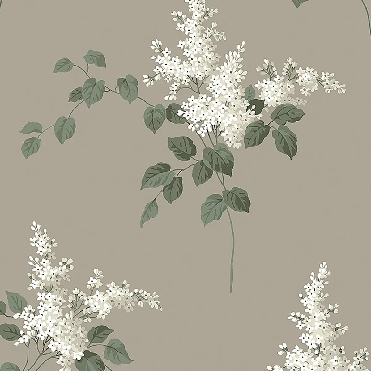 LILACS_ GRISAILLE