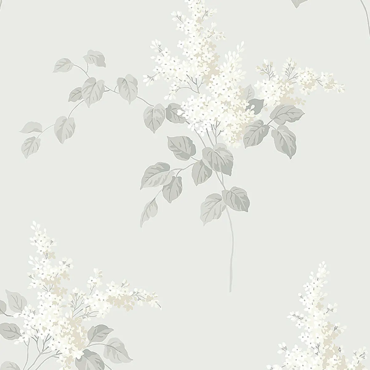 LILACS_ GREY