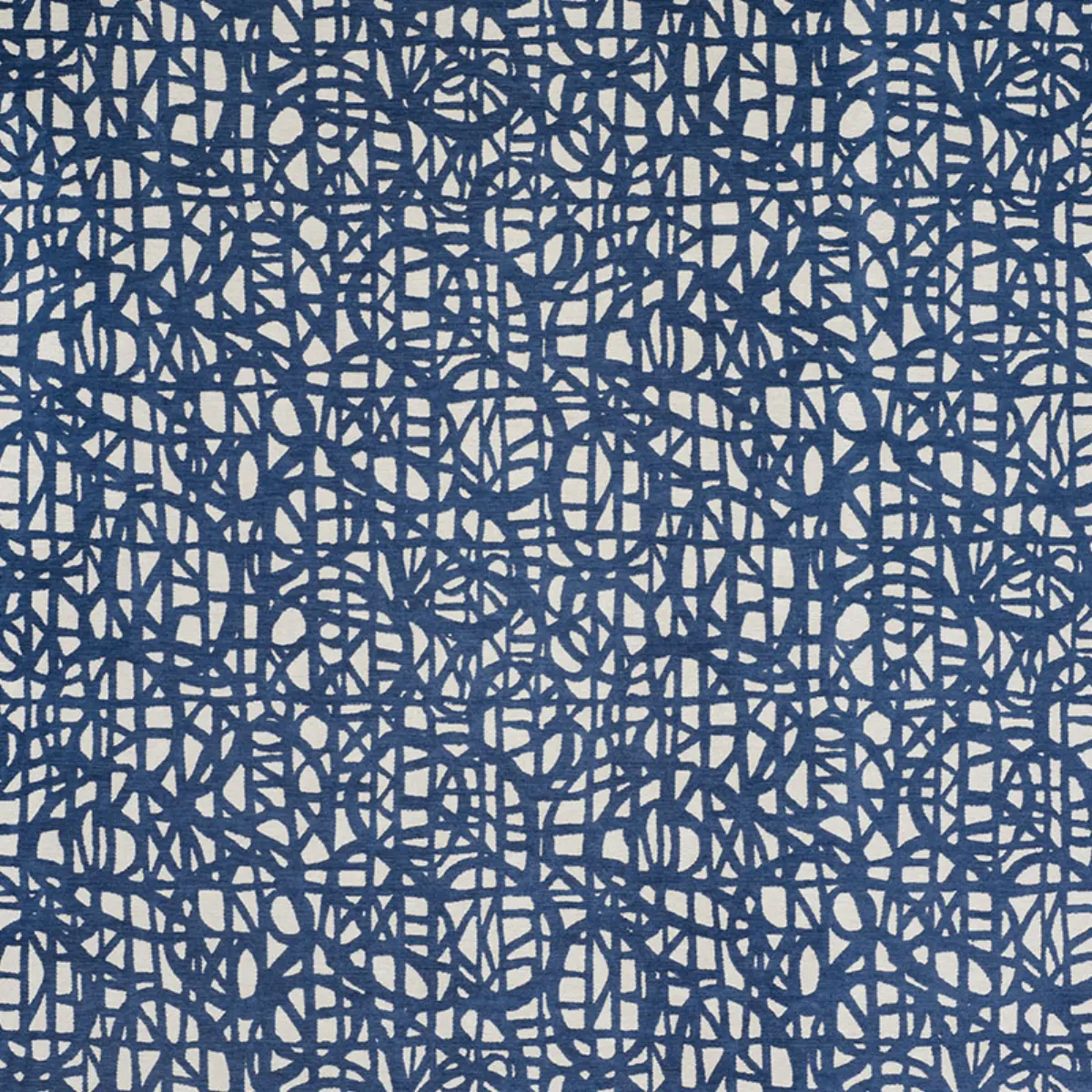 MOMENTUM_ BLUE