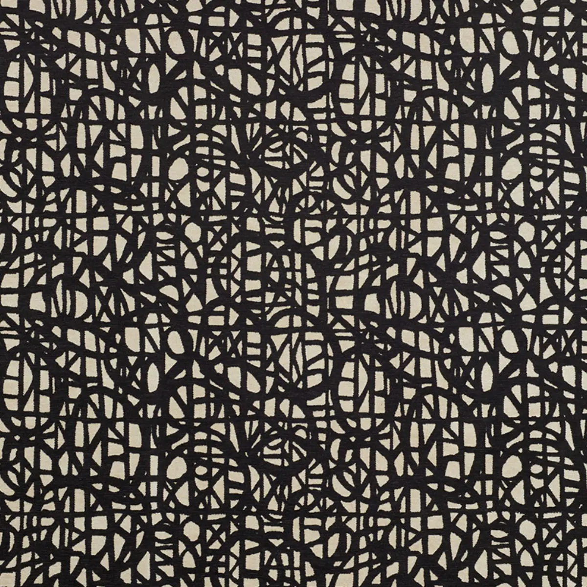 MOMENTUM_ BLACK