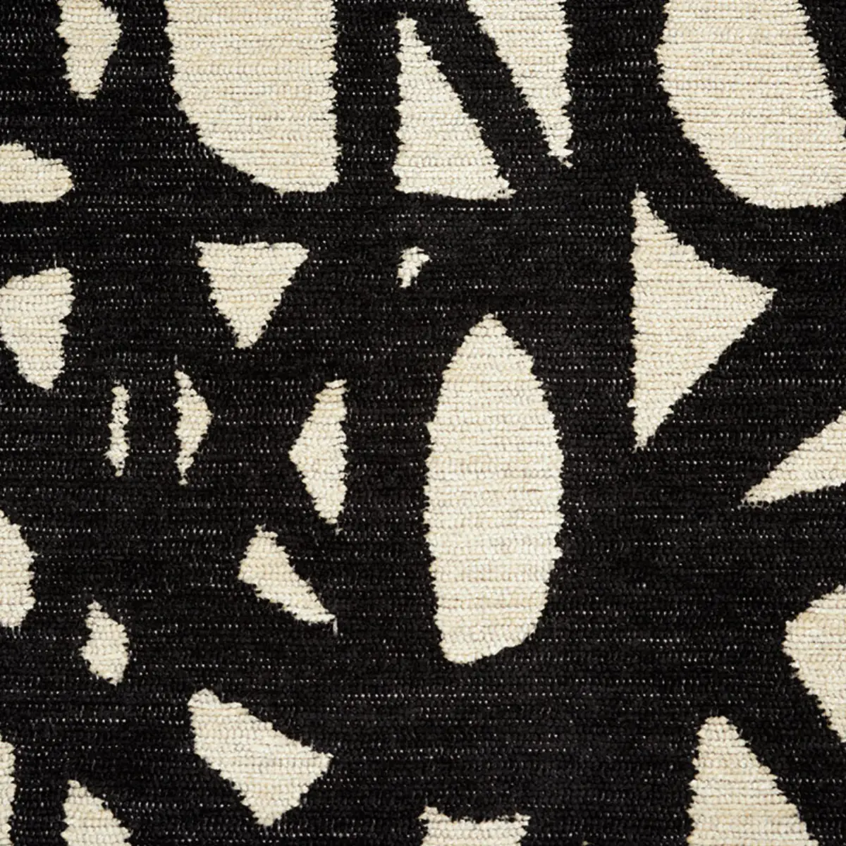 MOMENTUM_ BLACK