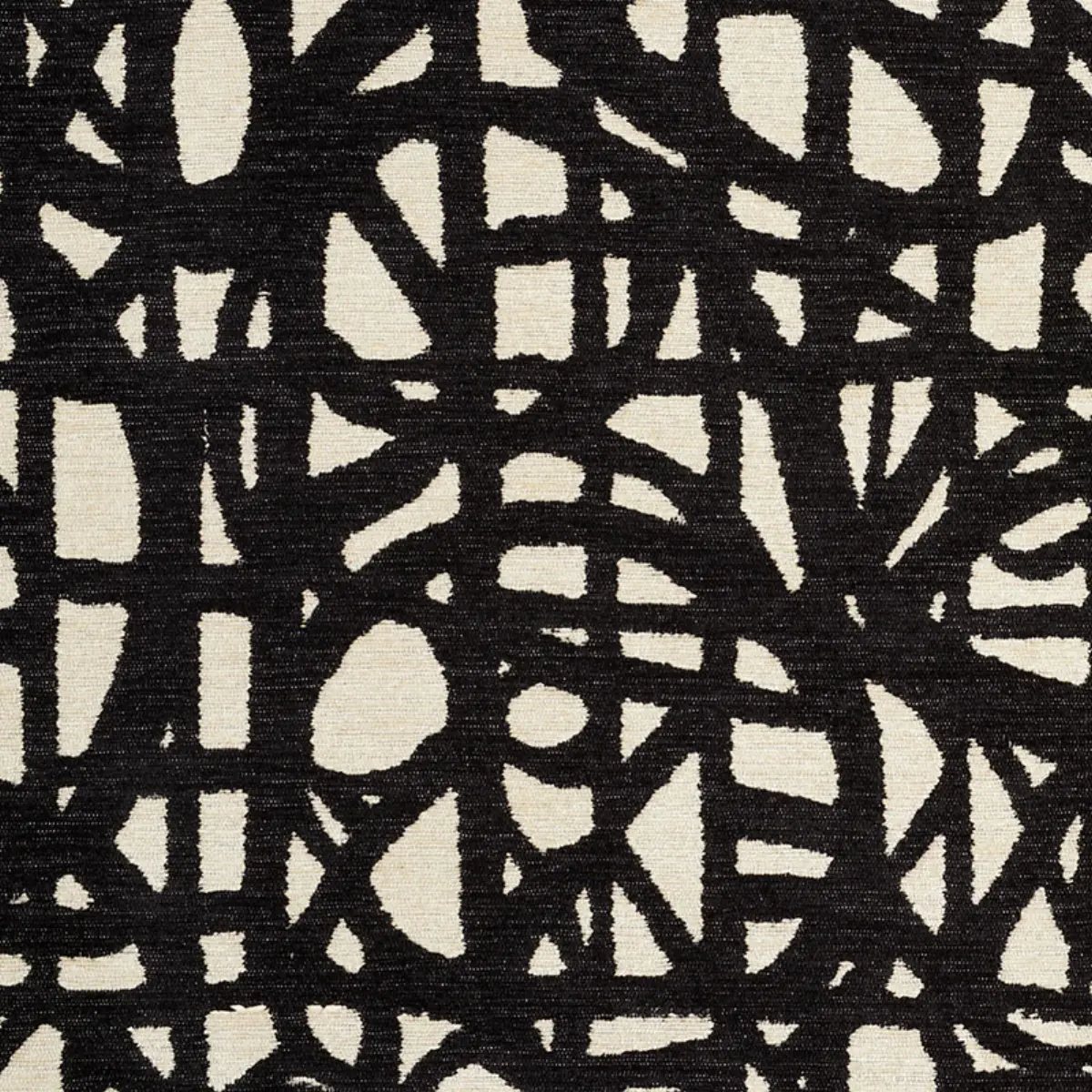 MOMENTUM_ BLACK