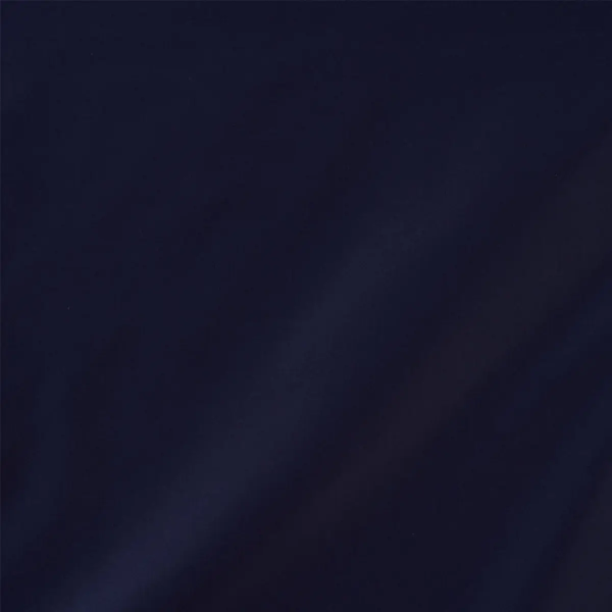 CECIL COTTON CHINTZ_ NAVY