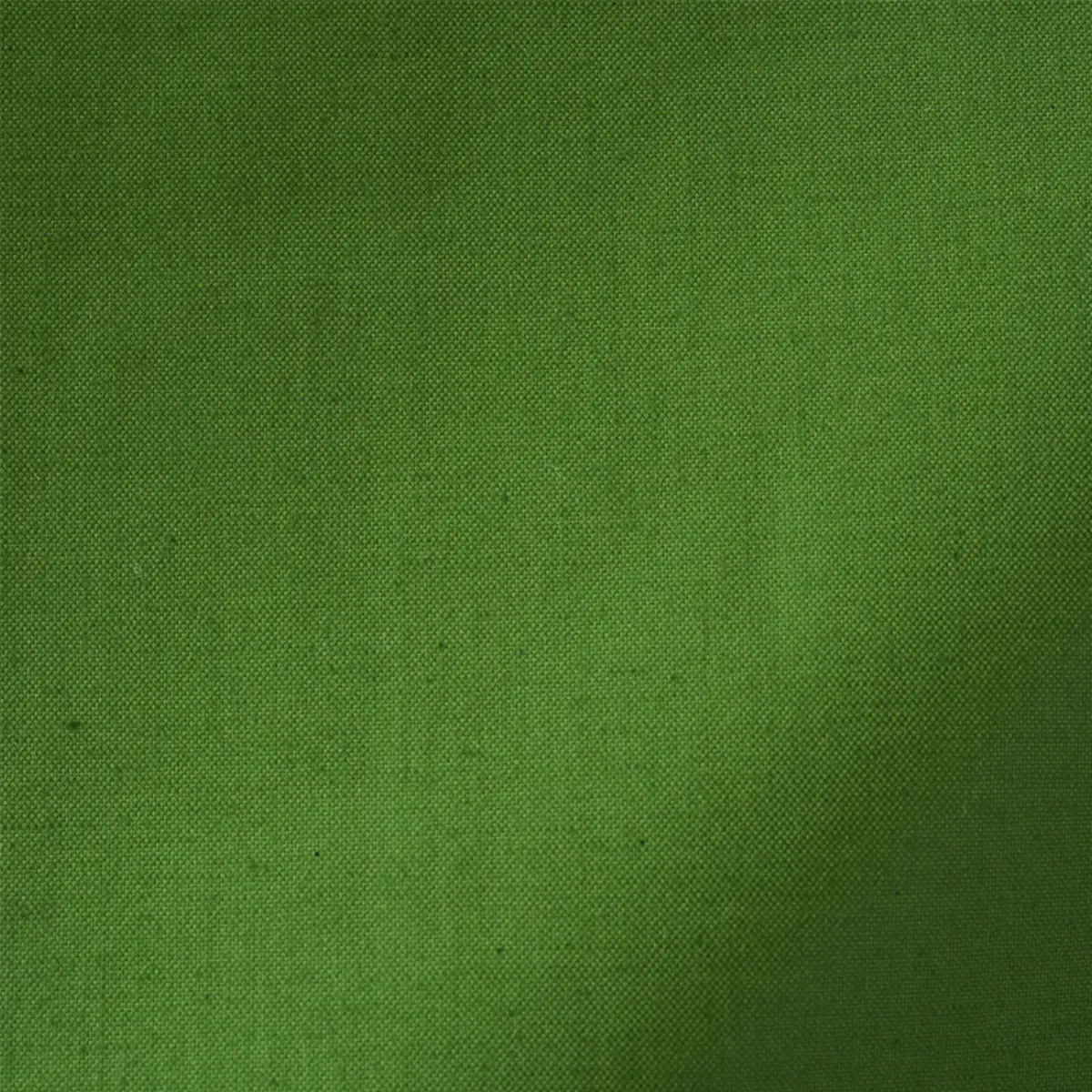CECIL COTTON CHINTZ_ LEAF