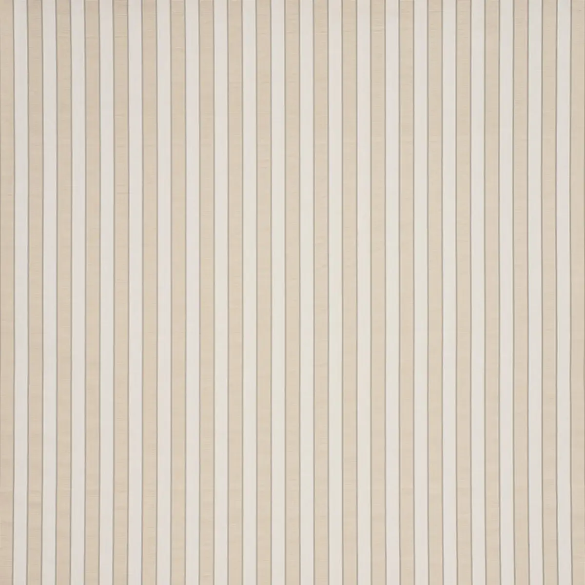 RIBBON STRIPE_ CHAMPAGNE