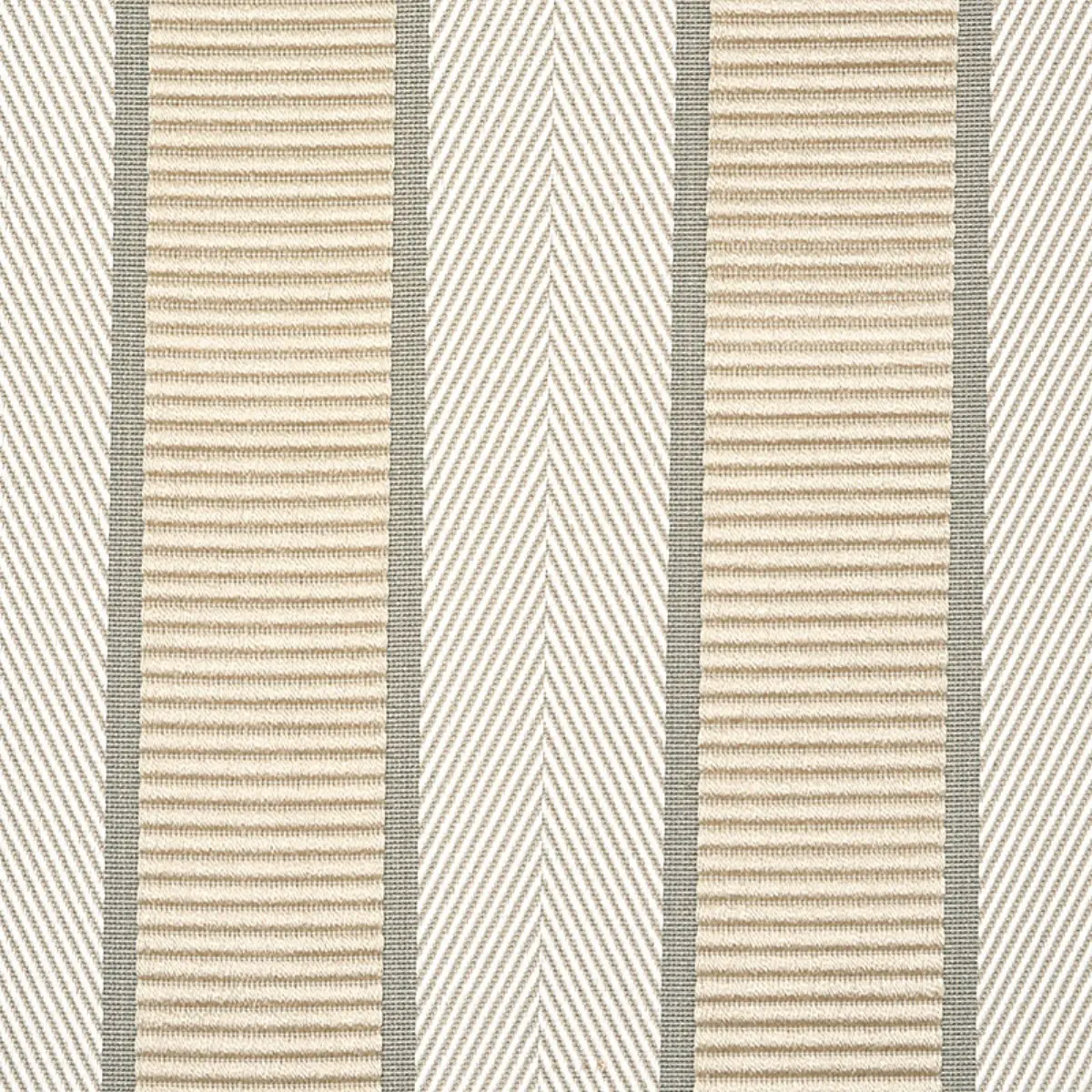 RIBBON STRIPE_ CHAMPAGNE