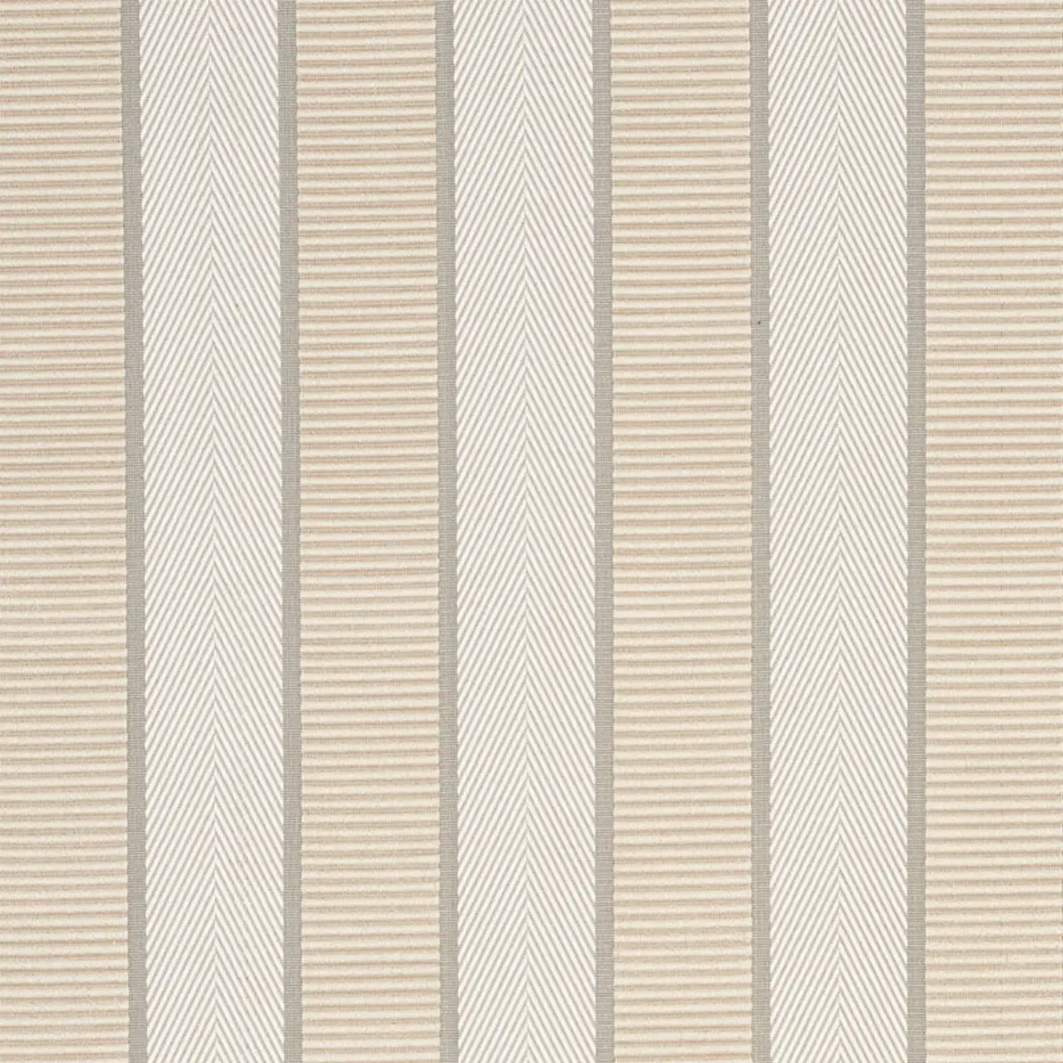 RIBBON STRIPE_ CHAMPAGNE