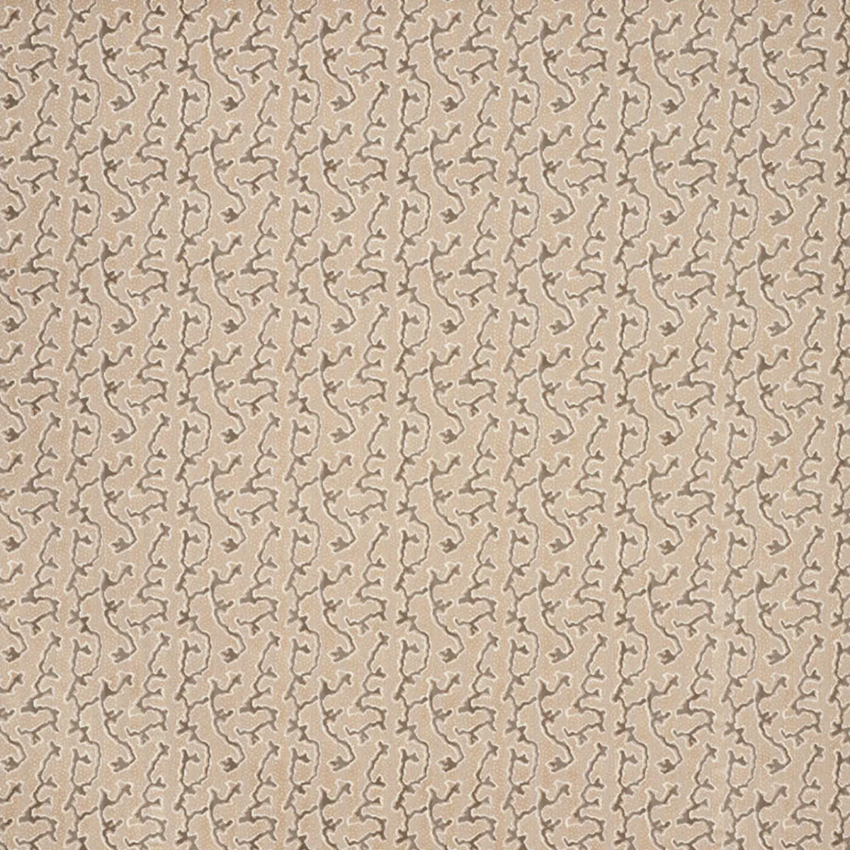 CORAIL VELVET_ CHAMPAGNE