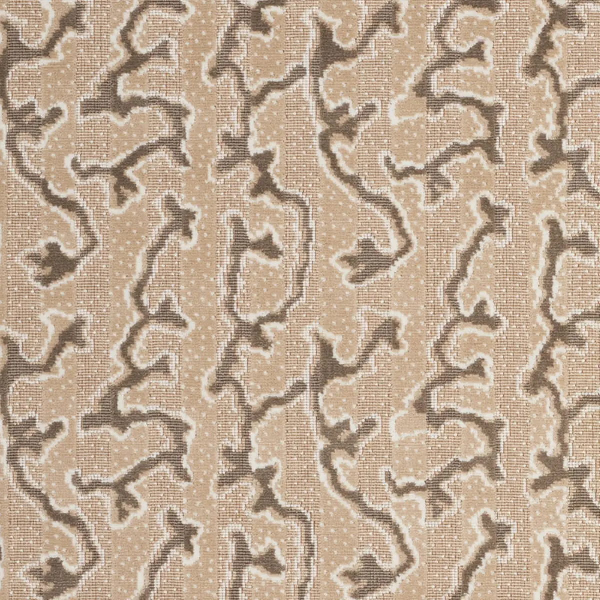 CORAIL VELVET_ CHAMPAGNE