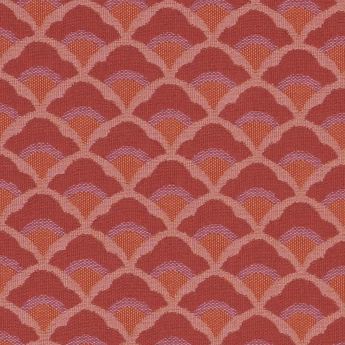 WILHELM_ CORAL