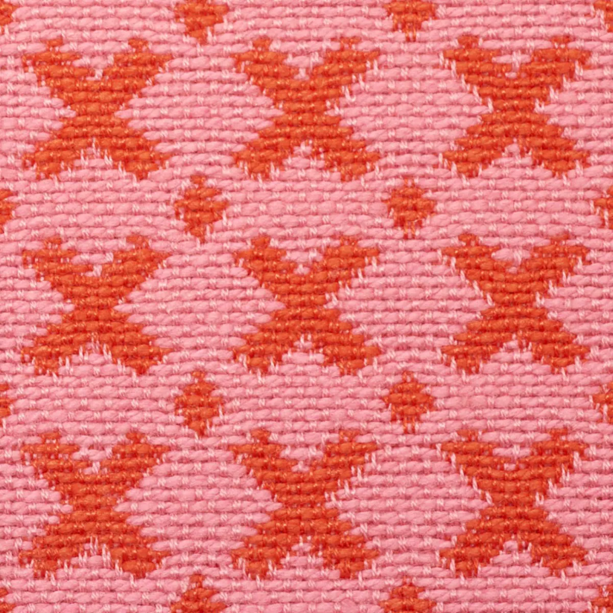 ELIAS_ PINK & RED