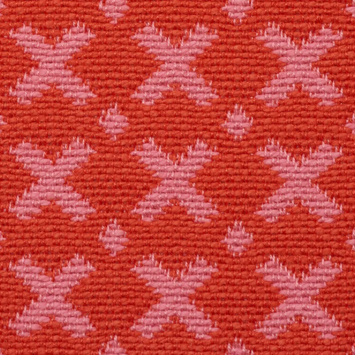 ELIAS_ PINK & RED