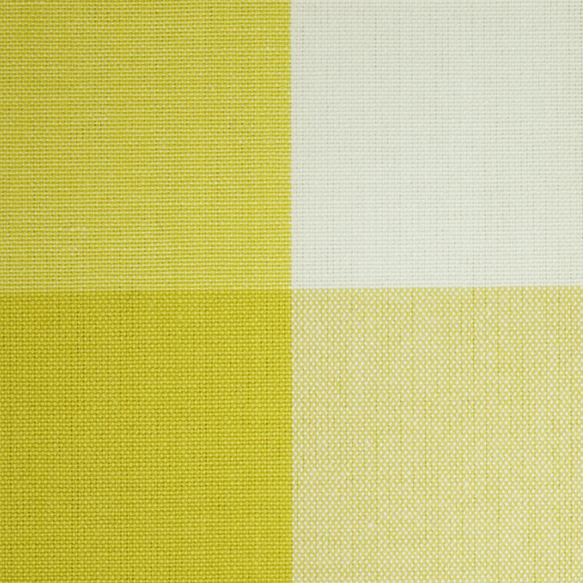 CAMDEN COTTON CHECK_ YELLOW