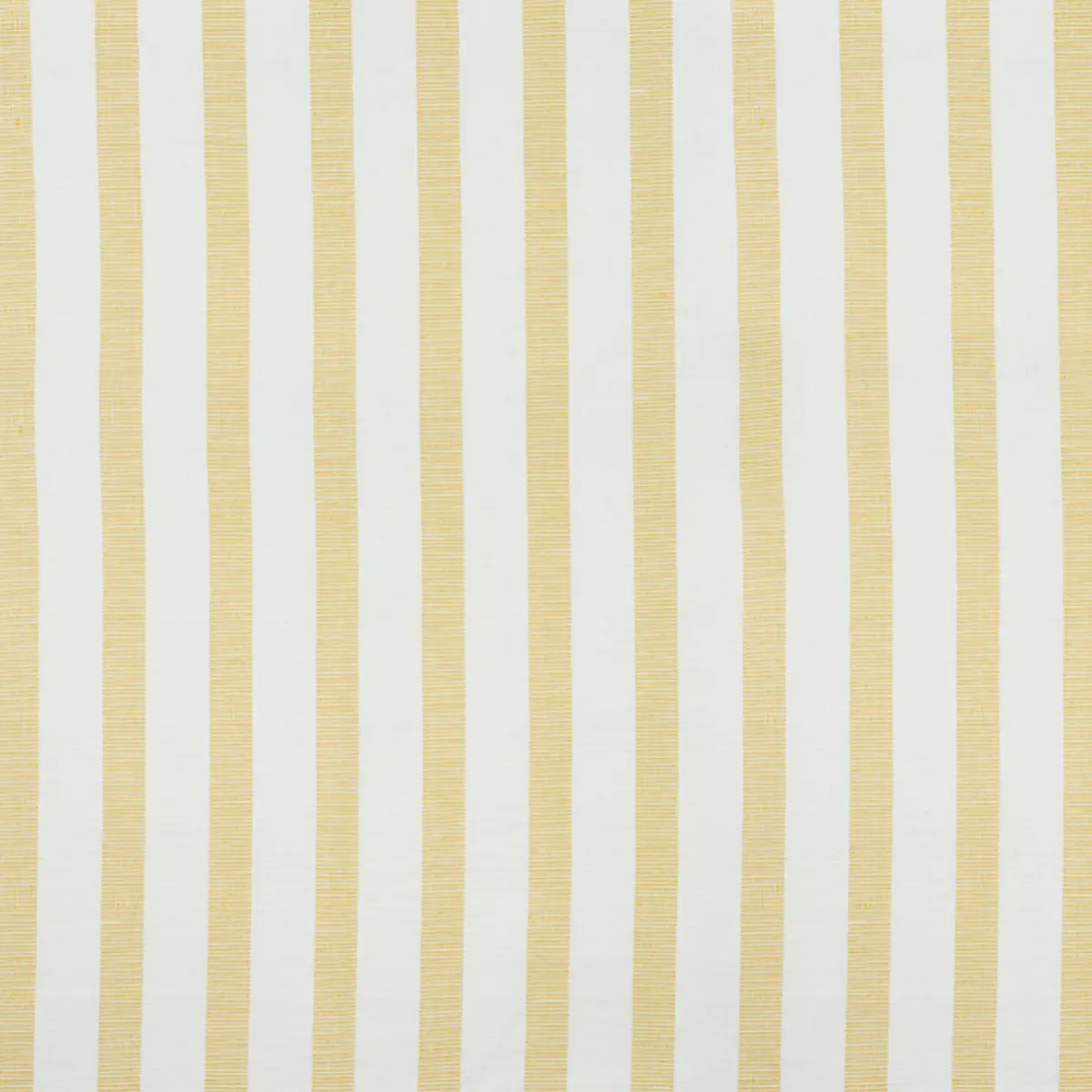 KETLEY PERFORMANCE STRIPE_ YELLOW