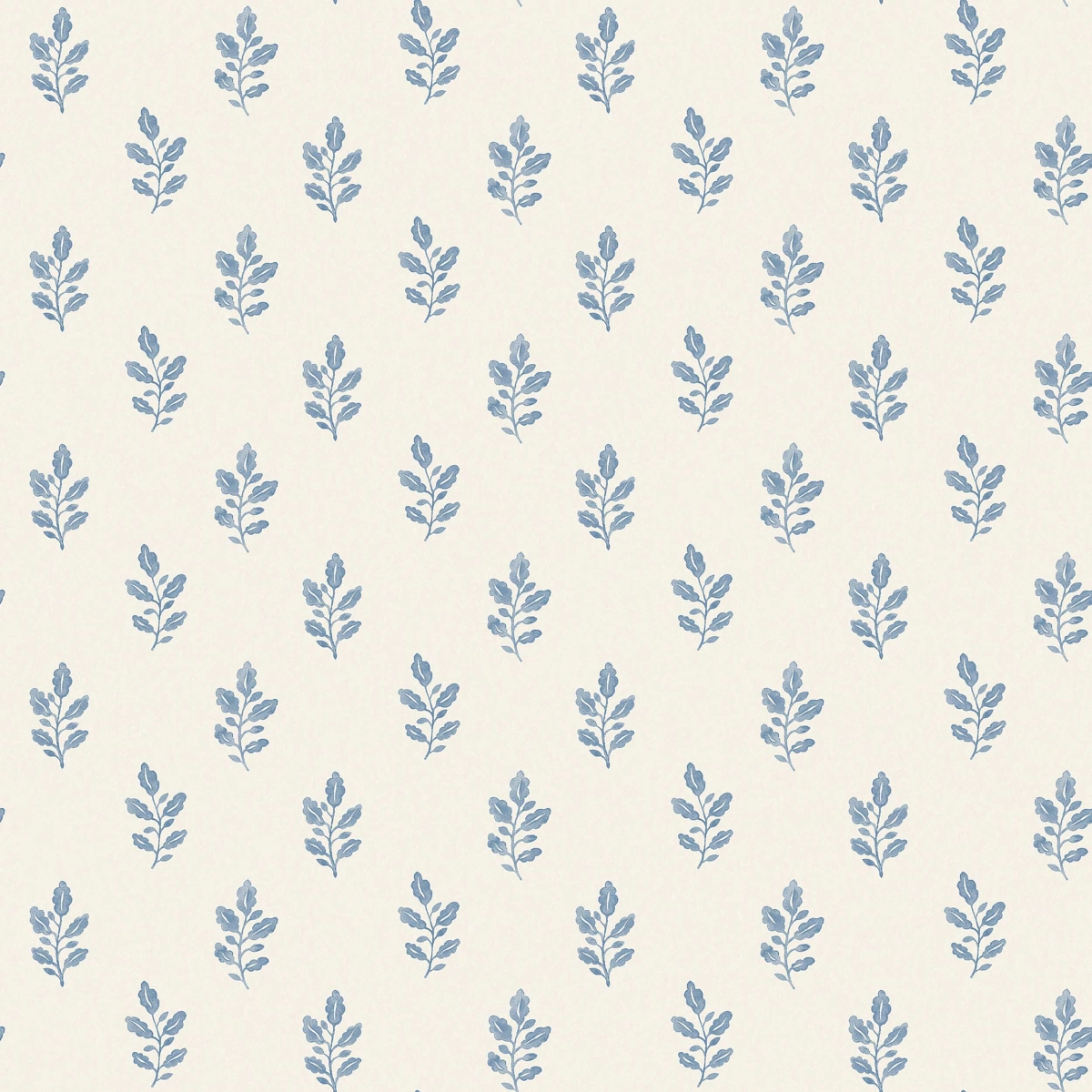 LITTLE OAK_ BLUE