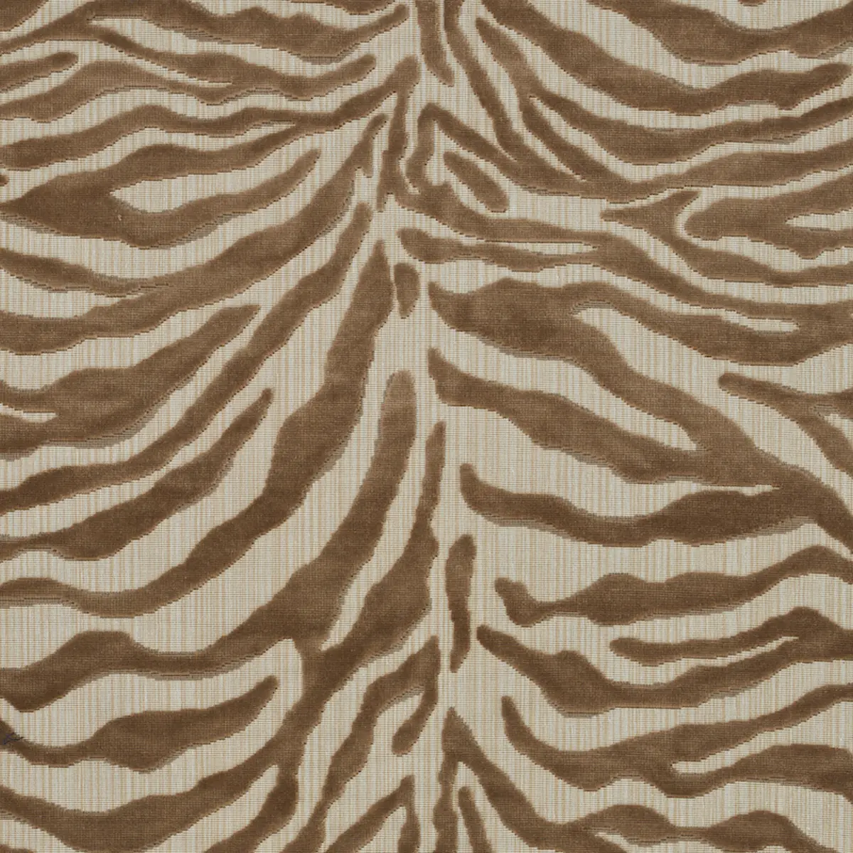 REGINE STRIE VELVET_ BEIGE