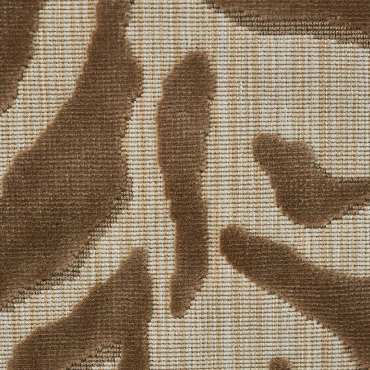 REGINE STRIE VELVET_ BEIGE