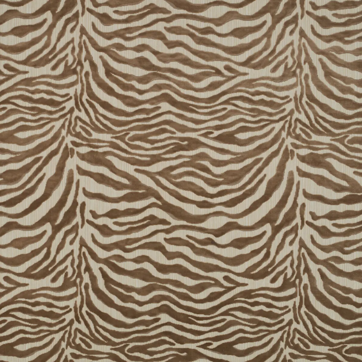 REGINE STRIE VELVET_ BEIGE