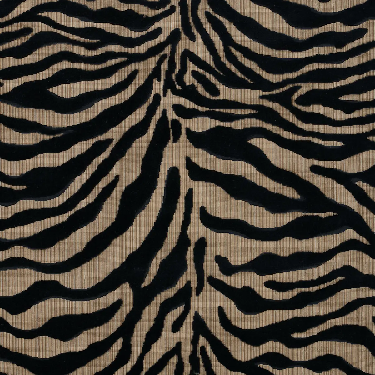 REGINE STRIE VELVET_ EBONY