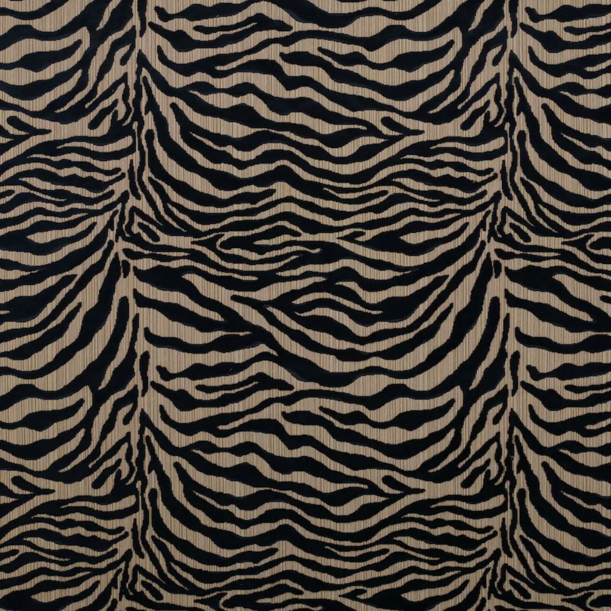 REGINE STRIE VELVET_ EBONY