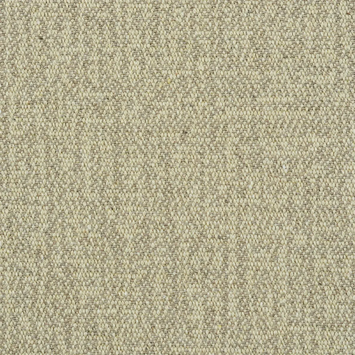 ALBERT PERFORMANCE COTTON_ FLAX