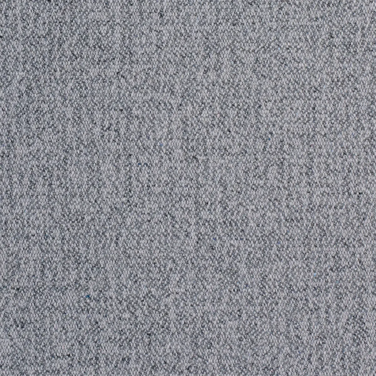 ALBERT PERFORMANCE COTTON_ DOVE