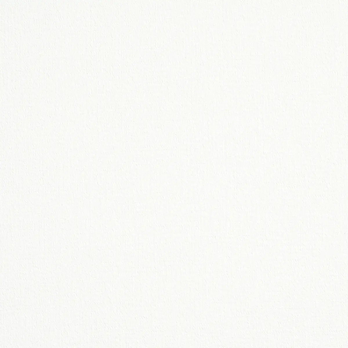 ALBERT PERFORMANCE COTTON_ WHITE