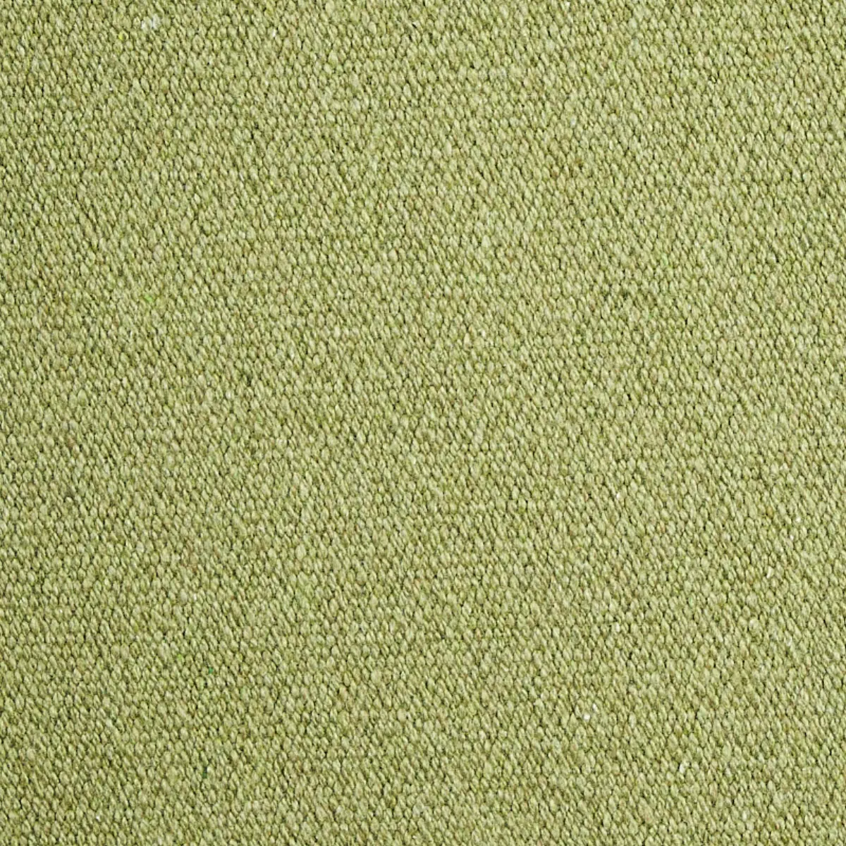 ALBERT PERFORMANCE COTTON_ GREEN