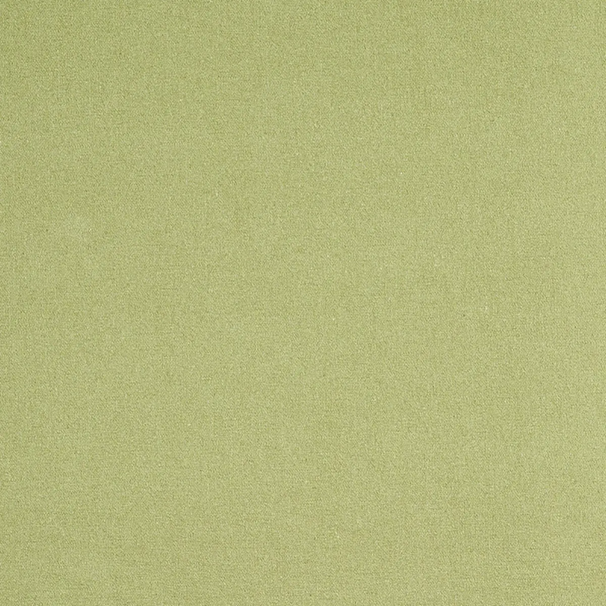 ALBERT PERFORMANCE COTTON_ GREEN
