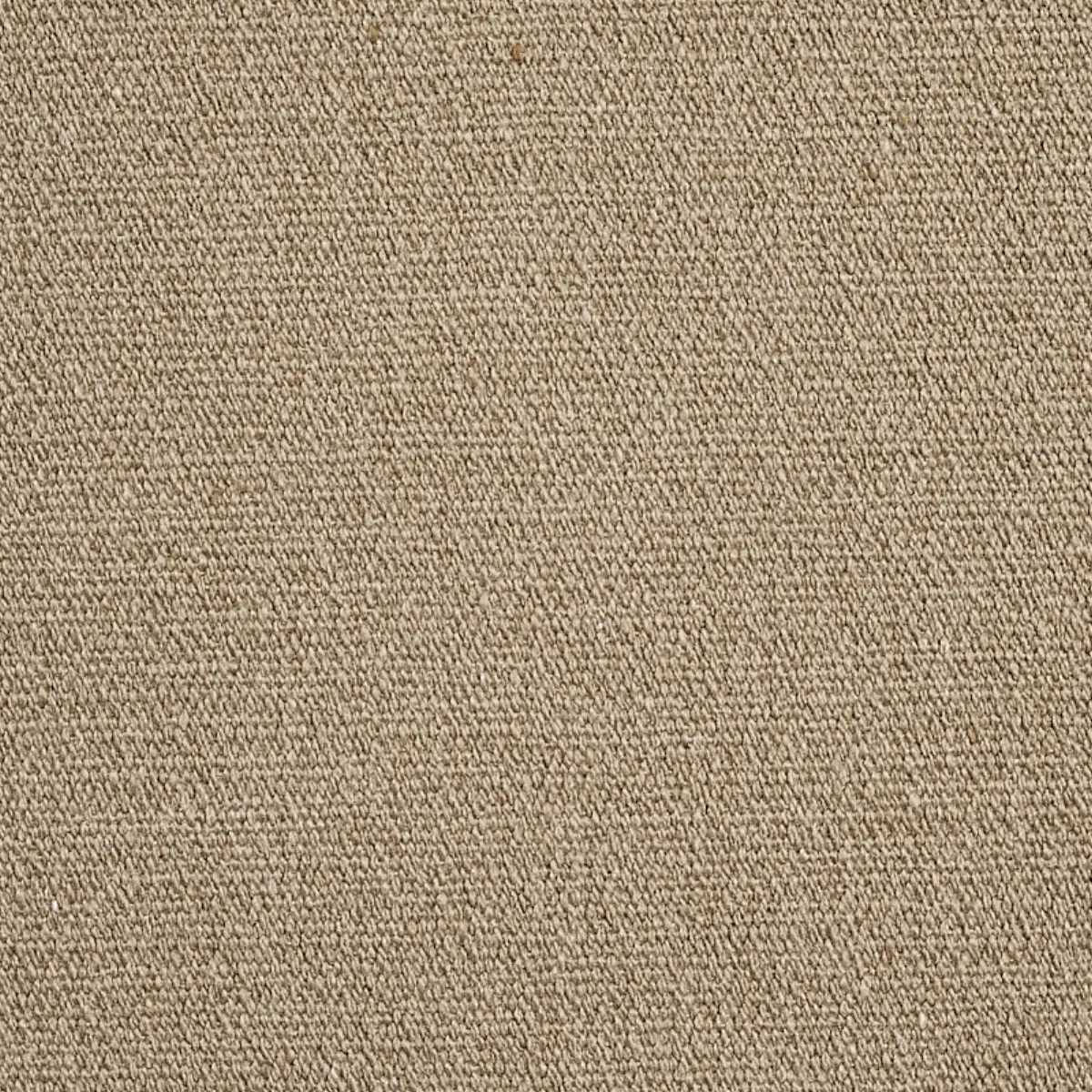 ALBERT PERFORMANCE COTTON_ SAND