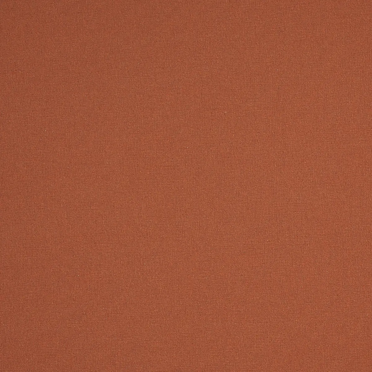 ALBERT PERFORMANCE COTTON_ TERRACOTTA