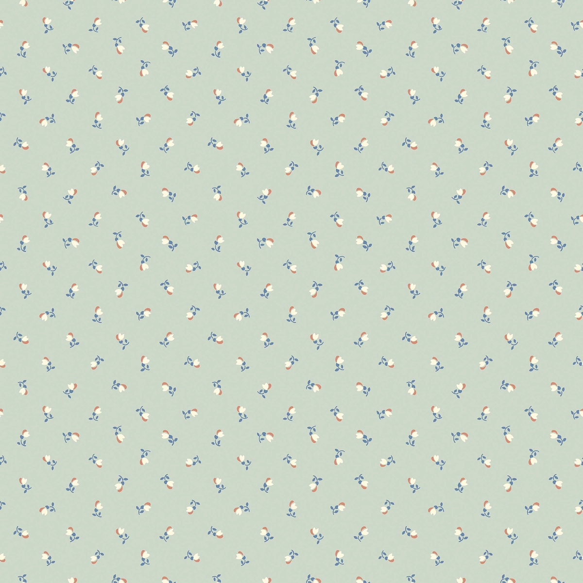 PETITE CHÉRIE_ AQUA