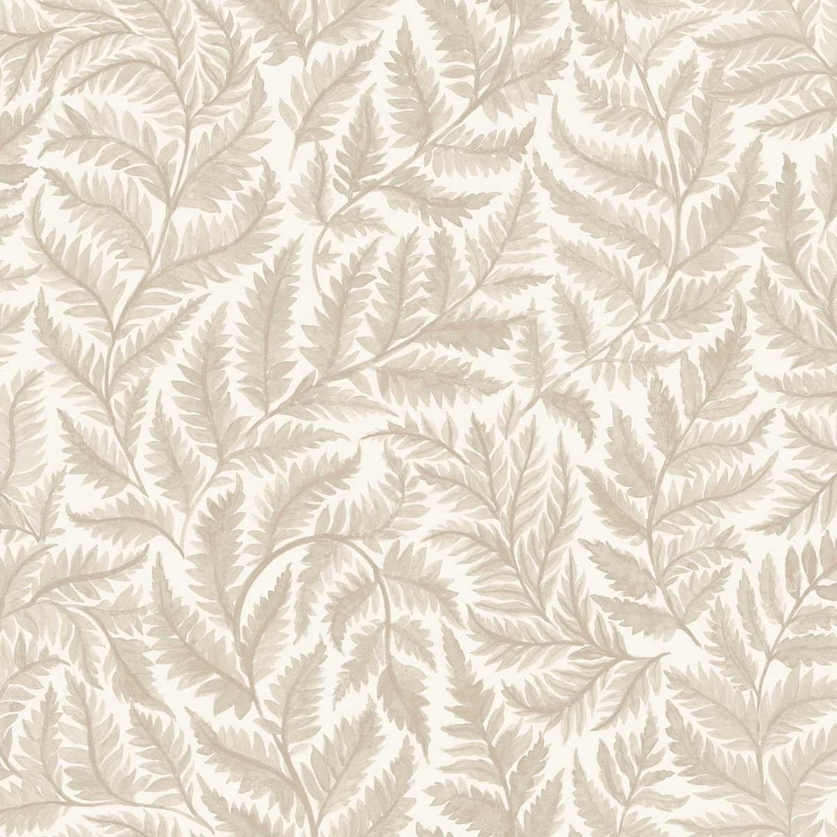 FERNS_ NATURAL