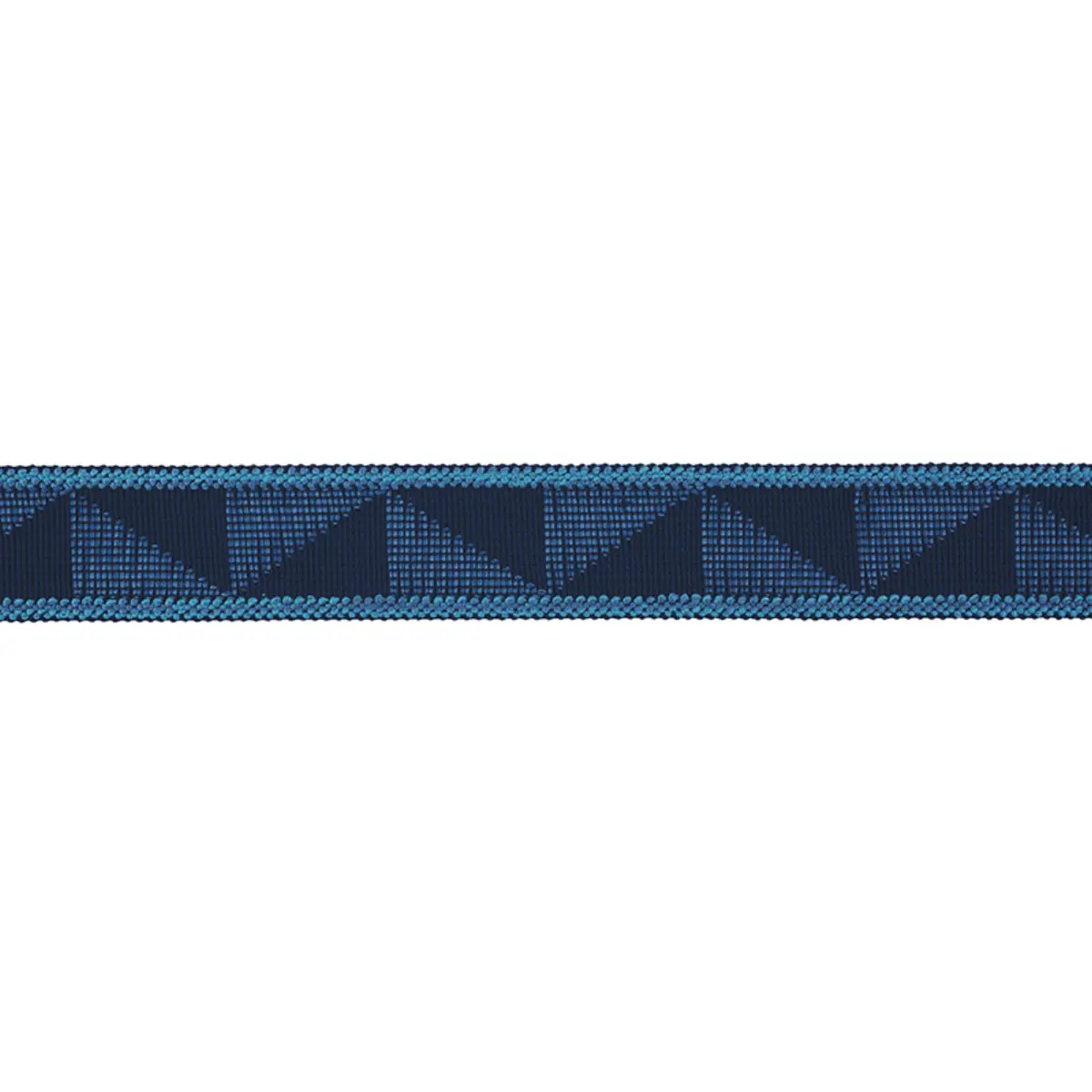 TEAGUE TAPE INDOOR/OUTDOOR_ BLUE