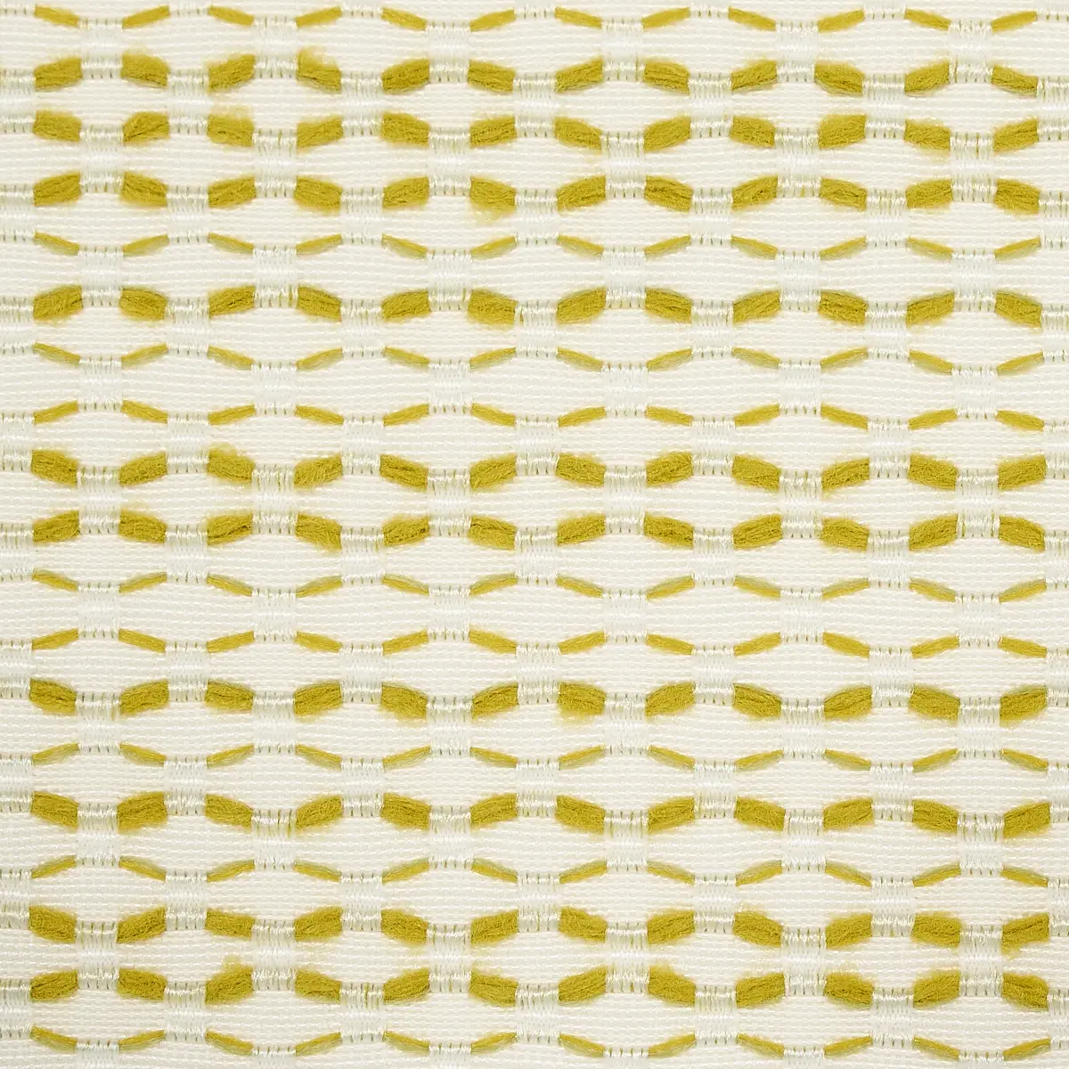 BRANFORD INDOOR/OUTDOOR_ LIME