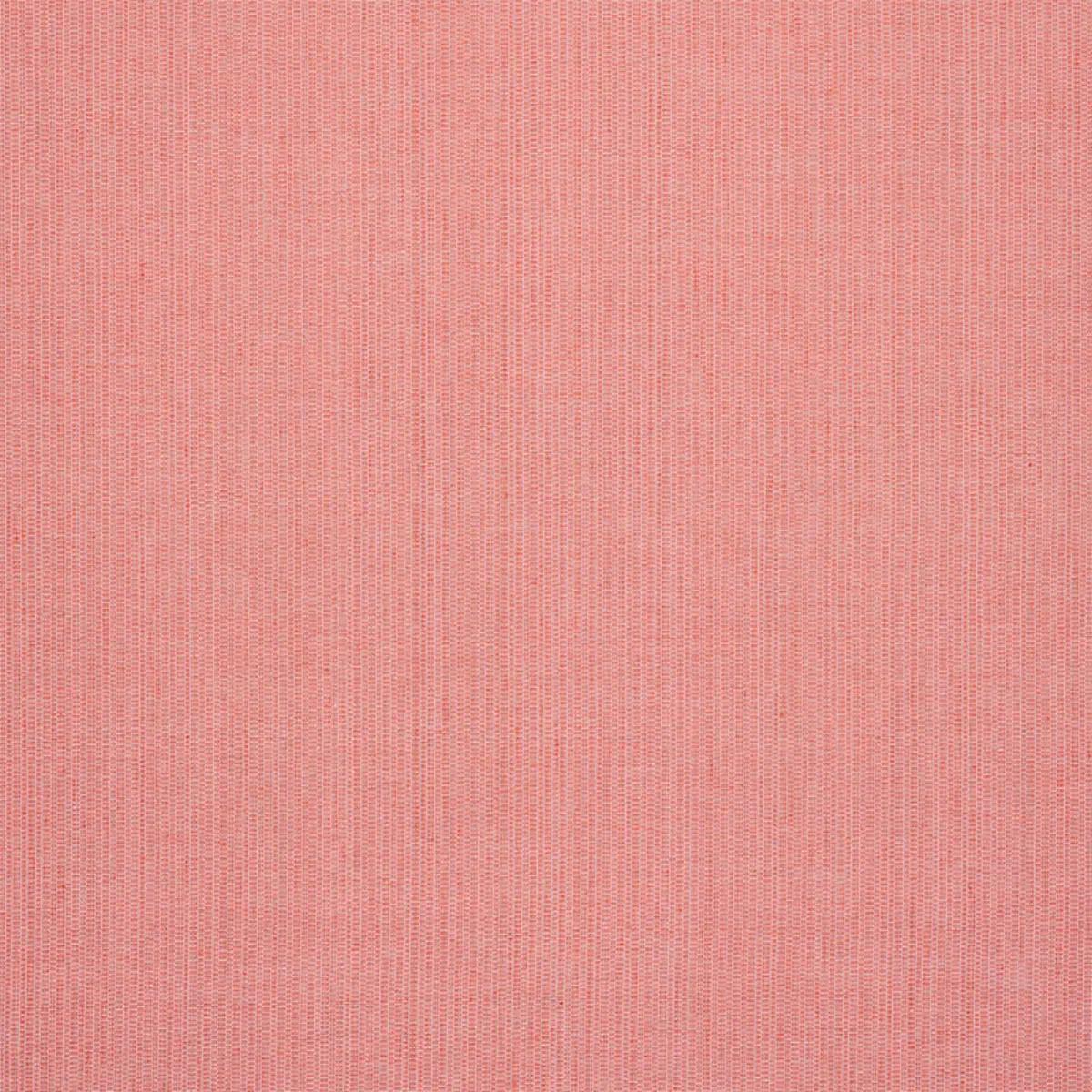 ISPA HAND WOVEN PLAIN_ BLUSH