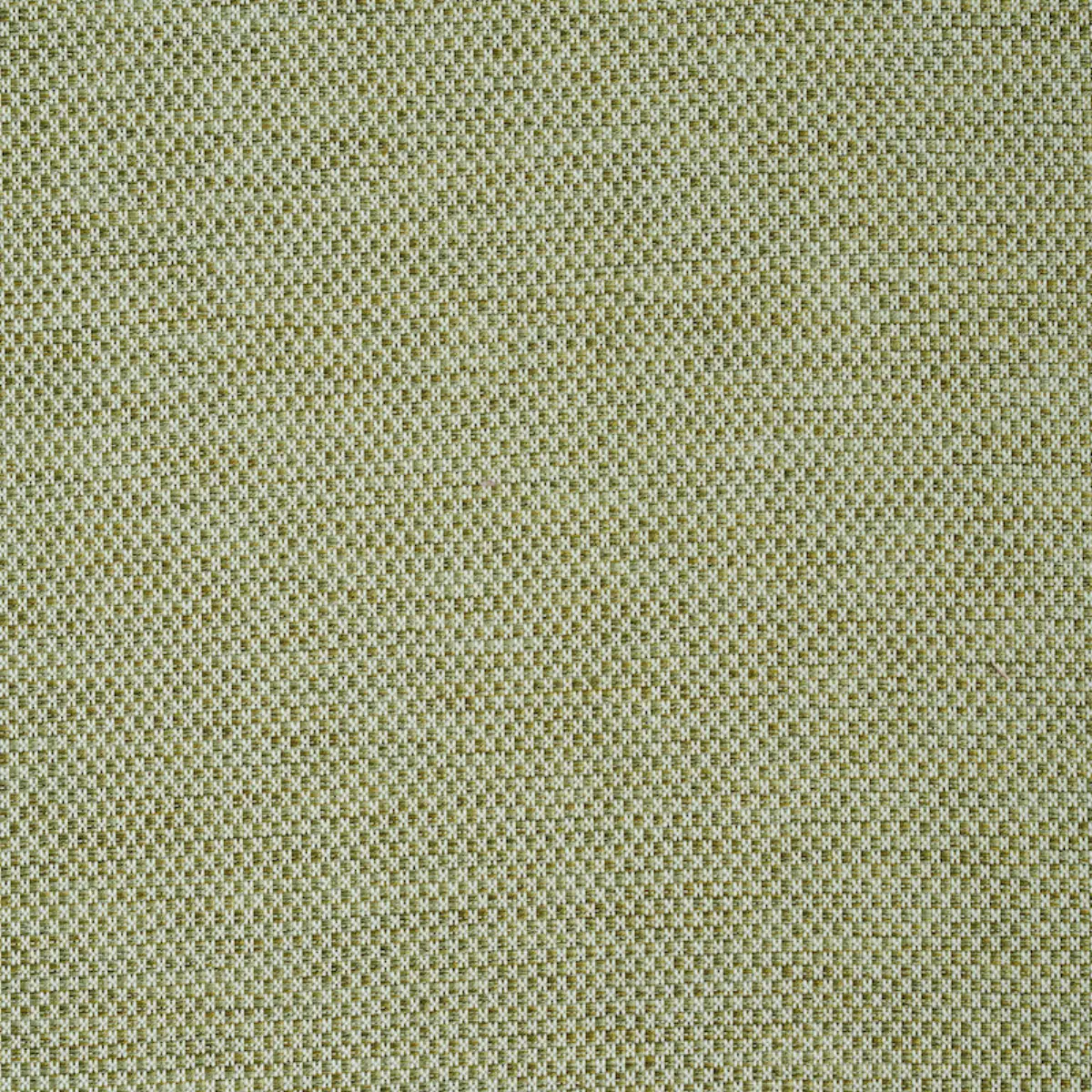 MOMO HAND WOVEN TEXTURE_ FERN