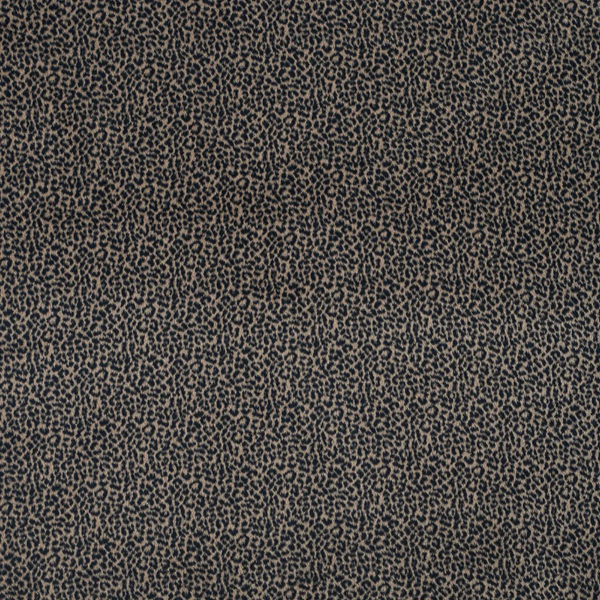 LILYA LEOPARD_ NATURAL