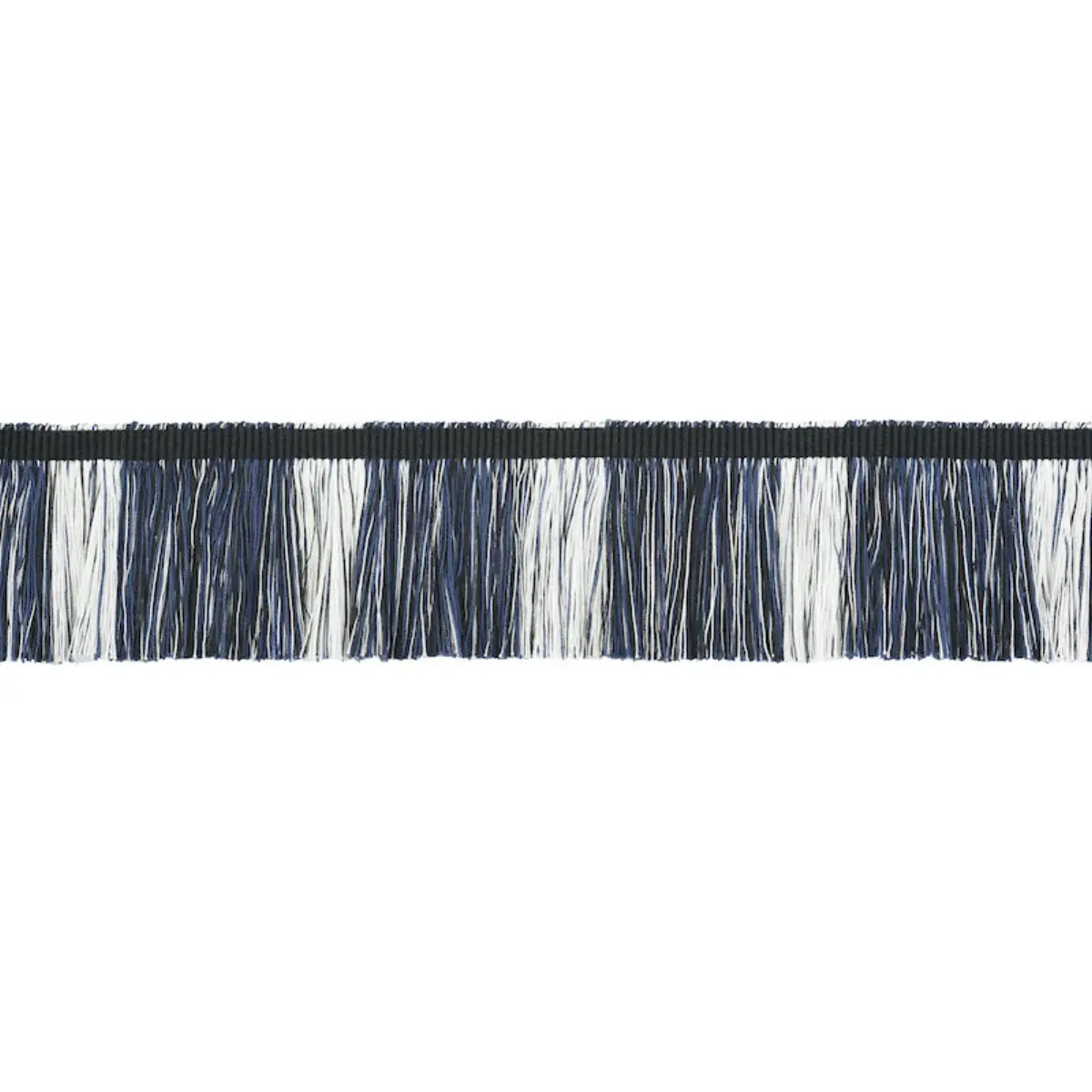 CALCADA FRINGE_ MIDNIGHT