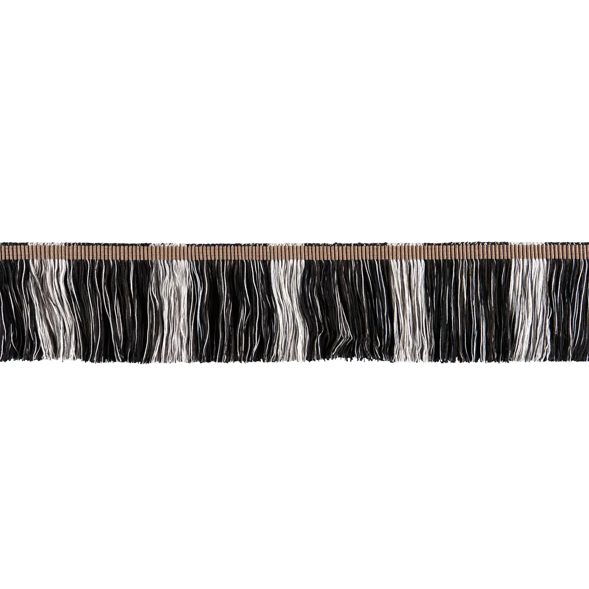 CALCADA FRINGE_ CARBON