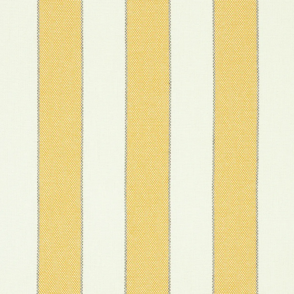 BLUMONT STRIPE INDOOR/OUTDOOR_ YELLOW