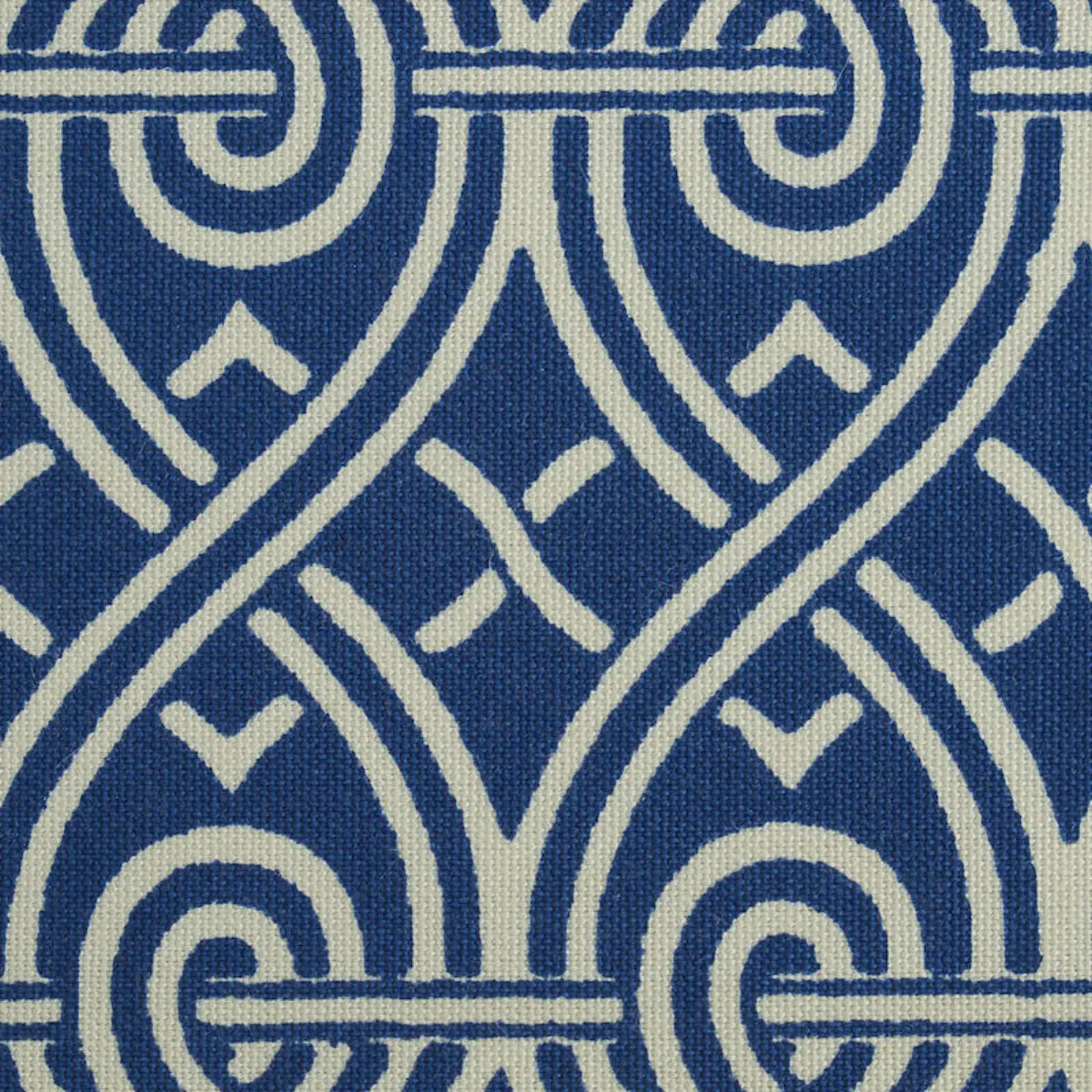 SUZETTE TAPE_ NAVY
