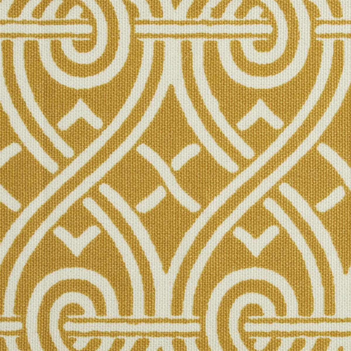 SUZETTE TAPE_ GOLD
