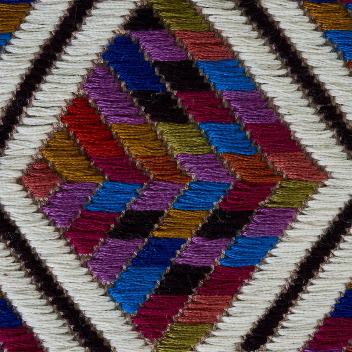 CHAHAL HAND WOVEN BROCADE_ CARNIVAL