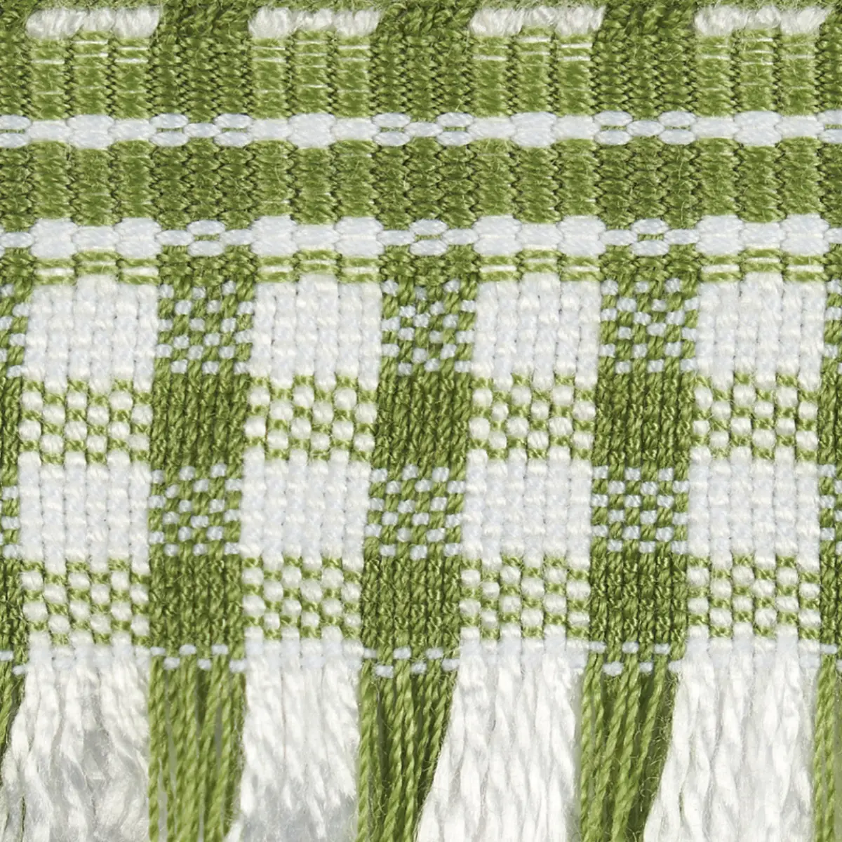 ROSALY TAPE_ GREEN