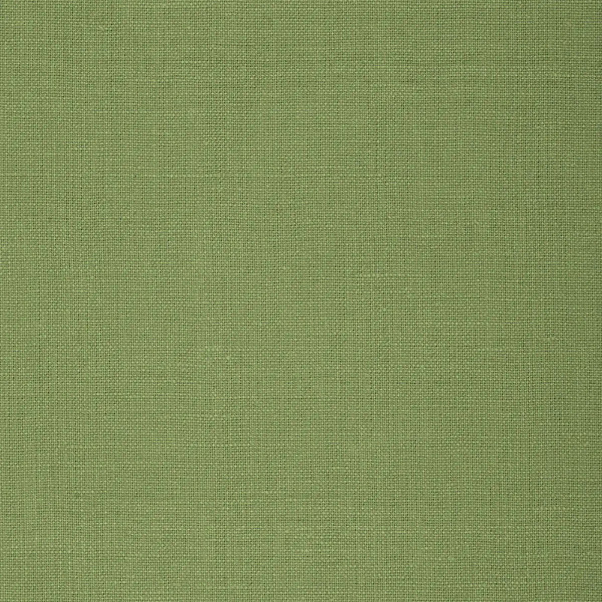 GWENETH LINEN_ IVY