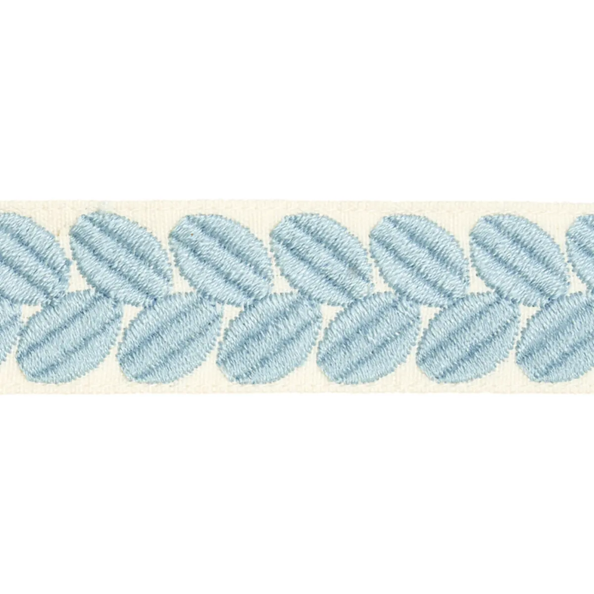 BERKELEY TAPE NARROW_ SKY