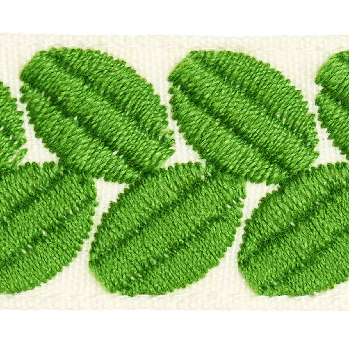 BERKELEY TAPE NARROW_ LEAF